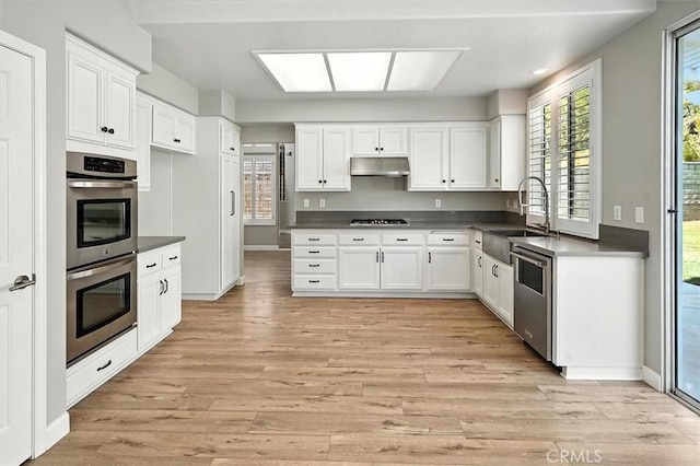 25623 Frost Ln, Stevenson Ranch, CA 91381 - kitchen featuring appliances with stainless steel finishes, under cabinet range hood, dark countertops, and light wood-style floors