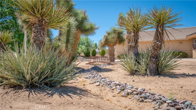8920 Del Monte Ave, Yucca Valley, CA 92284 - view of yard