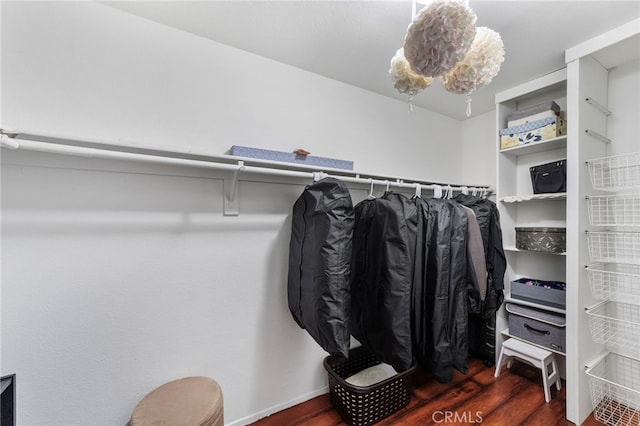 40236 Holden Cir, Temecula, CA 92591 - spacious closet with wood finished floors