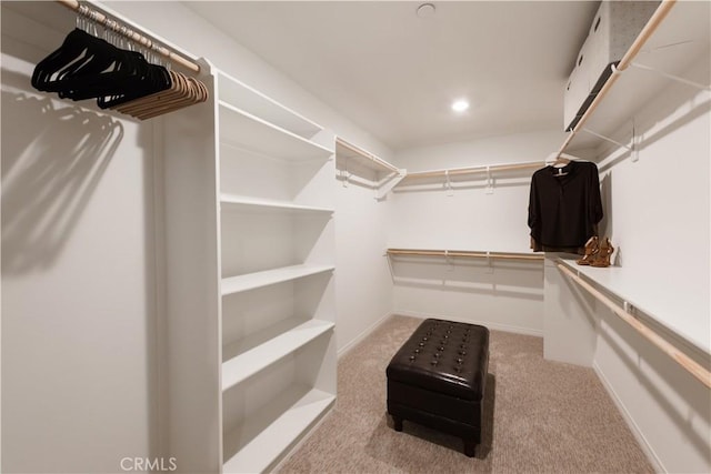 11829 Confluence Dr, Jurupa Valley, CA 91752 - spacious closet featuring carpet floors