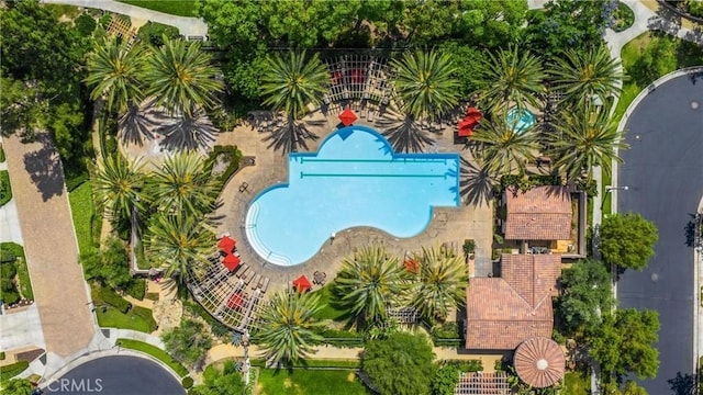 403 Sevilla Dr, Brea, CA 92823 - drone / aerial view of a pool