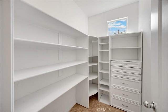 403 Sevilla Dr, Brea, CA 92823 - view of storage area