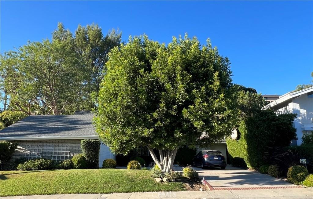 4168 Towhee Dr, Calabasas, CA 91302 - view of property hidden behind natural elements featuring driveway and a front lawn