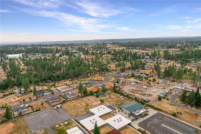 6638 Dolores Dr, Paradise, CA 95969 - aerial view of property and surrounding area