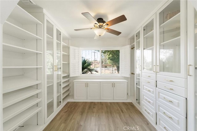 8873 Reche Canyon Rd, Colton, CA 92324 - spacious closet featuring light wood-type flooring and a ceiling fan