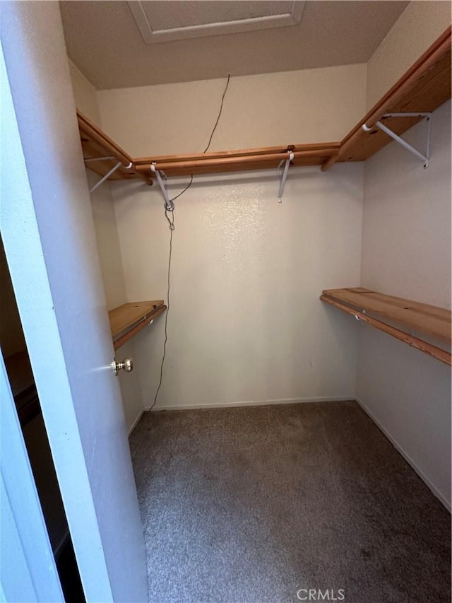 37510 Conifer Dr, Palmdale, CA 93550 - spacious closet with carpet flooring