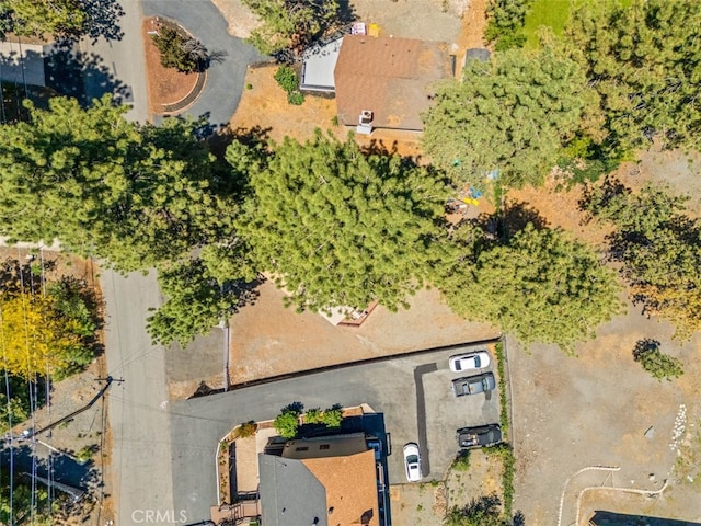 1830 Ash Rd, Wrightwood, CA 92397 - photo 36