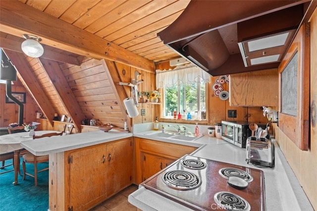 1830 Ash Rd, Wrightwood, CA 92397 - photo 10