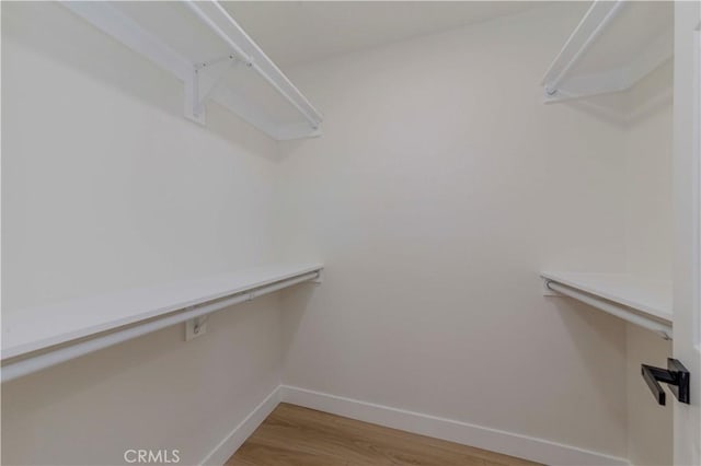1615 Via Linda Unit 16, Fullerton, CA 92833 - walk in closet featuring light wood-style floors