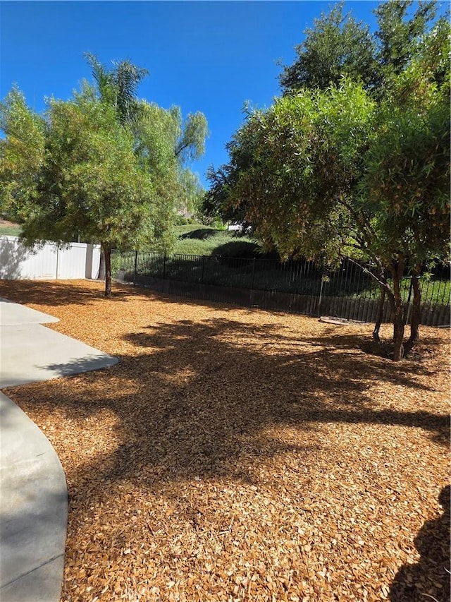 29390 Crest View Ln, Highland, CA 92346 - view of fenced backyard