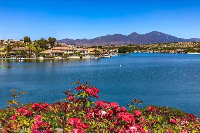 23252 La Mar Unit C, Mission Viejo, CA 92691 - photo 48