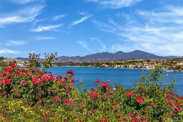 23252 La Mar Unit C, Mission Viejo, CA 92691 - photo 49