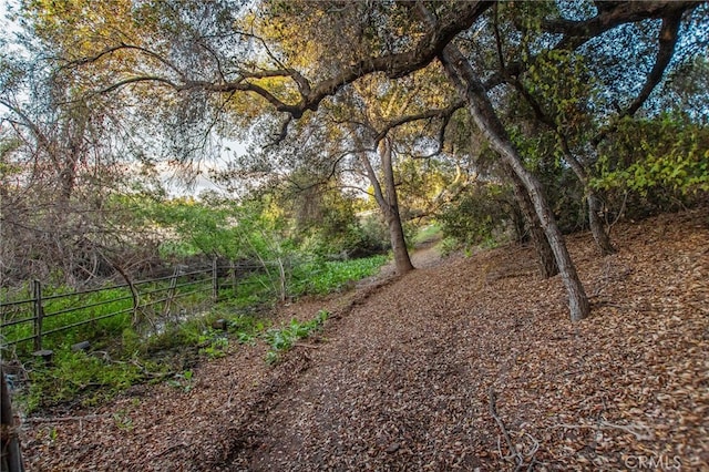 41605 De Portola Rd, Temecula, CA 92592 - view of yard