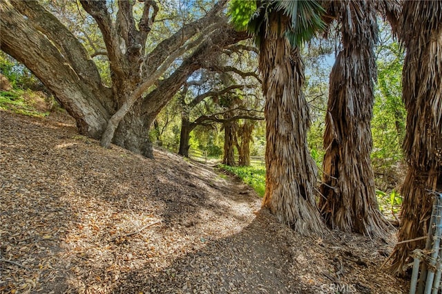 41605 De Portola Rd, Temecula, CA 92592 - view of local wilderness