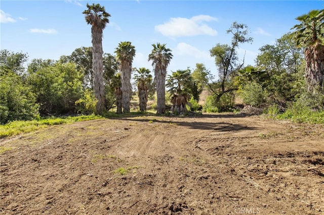 41605 De Portola Rd, Temecula, CA 92592 - view of nature