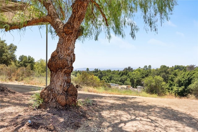41605 De Portola Rd, Temecula, CA 92592 - view of yard featuring a wooded view