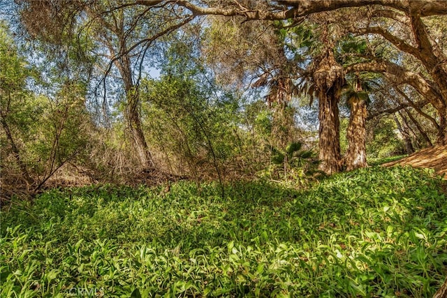 41605 De Portola Rd, Temecula, CA 92592 - view of local wilderness