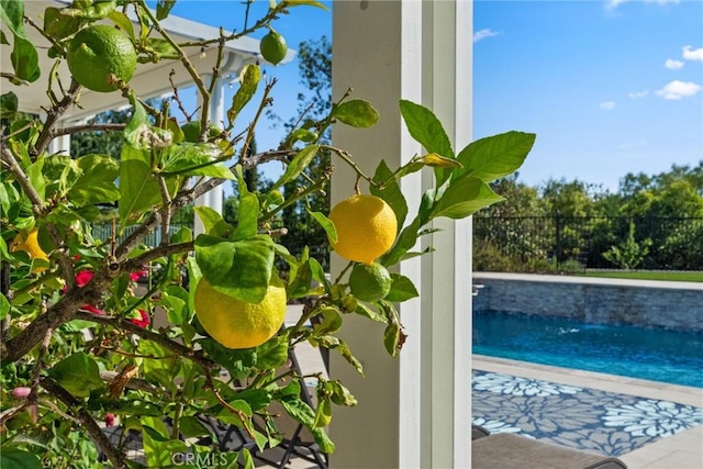 1708 Victoria Way, San Marcos, CA 92069 - detailed view of a swimming pool
