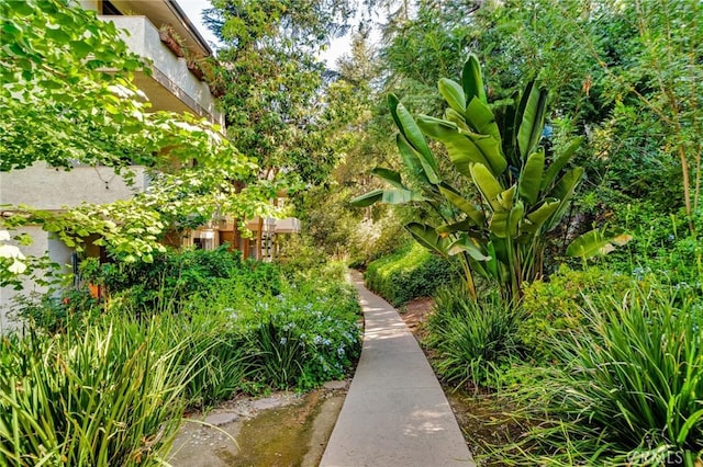 3480 Barham Blvd Unit 215, Los Angeles, CA 90068 - view of yard