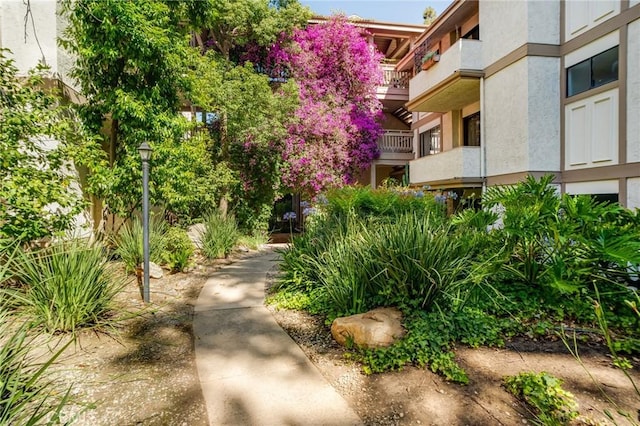 3480 Barham Blvd Unit 215, Los Angeles, CA 90068 - photo 11