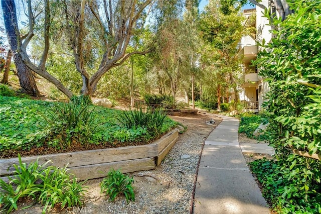 3480 Barham Blvd Unit 215, Los Angeles, CA 90068 - surrounding community