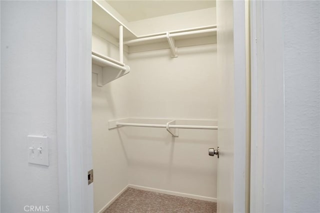 3480 Barham Blvd Unit 215, Los Angeles, CA 90068 - walk in closet featuring carpet flooring