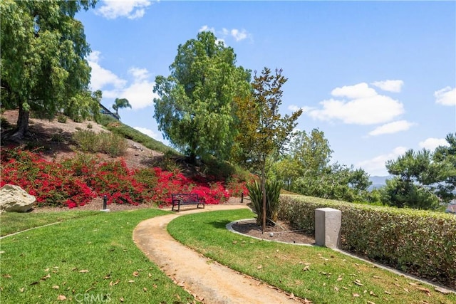 8 Diamant Way, Aliso Viejo, CA 92656 - view of home's community featuring a yard