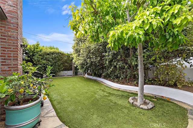 490 Agate, Laguna Beach, CA 92651 - view of yard