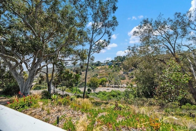 8004 Caminito Gianna, La Jolla, CA 92037 - view of yard