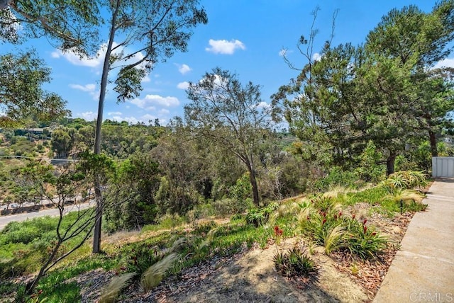 8004 Caminito Gianna, La Jolla, CA 92037 - view of yard