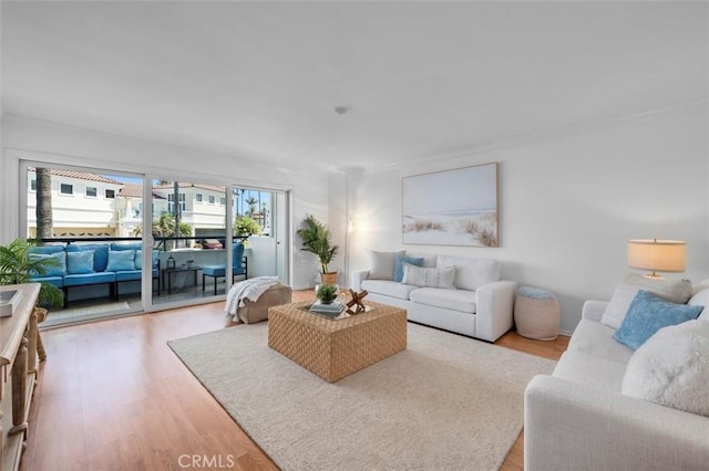 1201 S Catalina Ave Unit 3A, Redondo Beach, CA 90277 - living room with light wood-style flooring