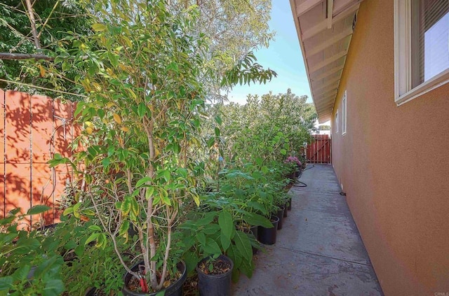 320 W 8th Ave, Escondido, CA 92025 - view of yard