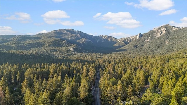 53810 Country Club Dr Unit Ab, Idyllwild, CA 92549 - photo 33