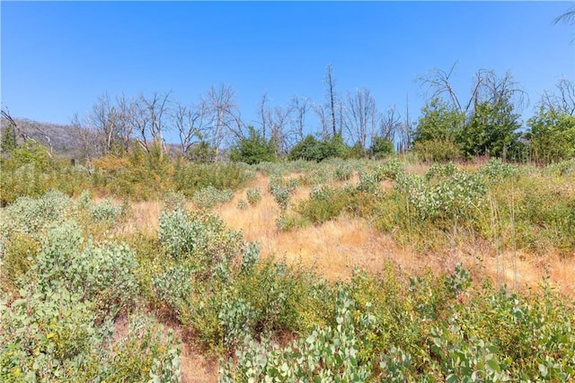 653 Jatko Rd, Berry Creek, CA 95916