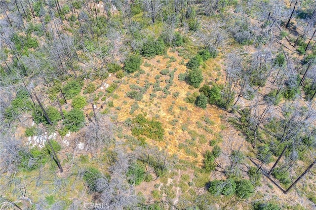 653 Jatko Rd, Berry Creek, CA 95916