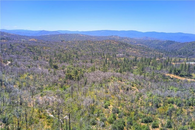 653 Jatko Rd, Berry Creek, CA 95916