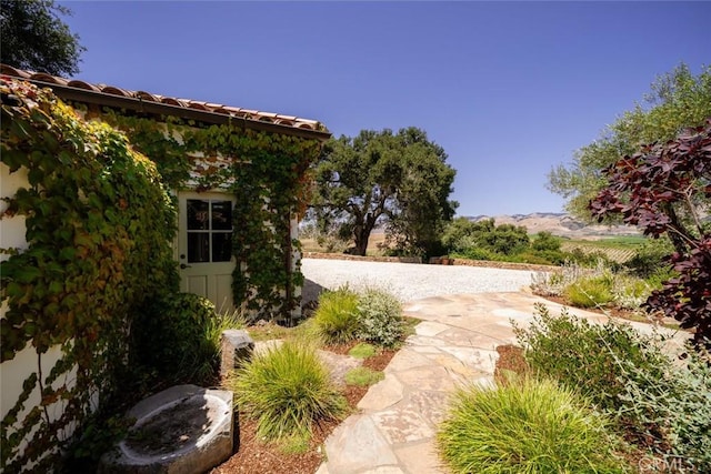 740 Via Robles, San Luis Obispo, CA 93401 - view of yard