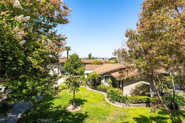2143 Ronda Granada Unit P, Laguna Woods, CA 92637 - obstructed view of property with a tiled roof, a front yard, and stucco siding
