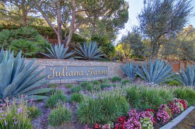 31495 Juliana Farms Rd, San Juan Capistrano, CA 92675