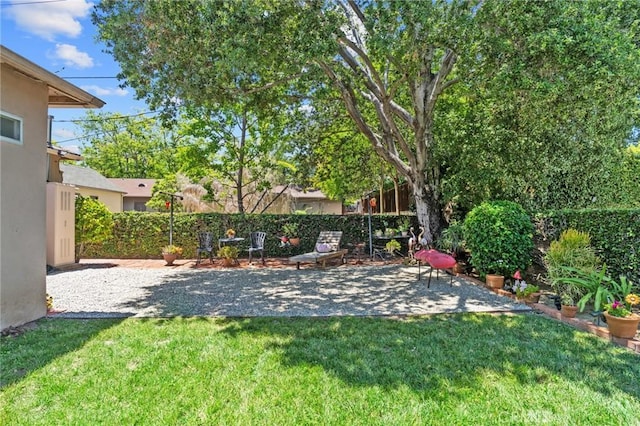 35 Columbia St, Pasadena, CA 91105 - view of yard with a patio area