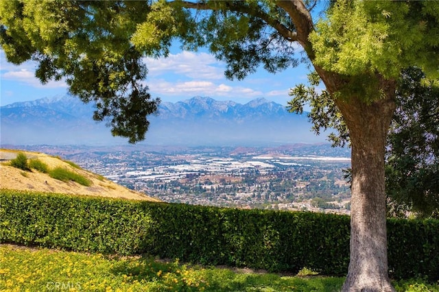 18680 Vantage Pointe Dr, Rowland Heights, CA 91748 - view of mountain backdrop