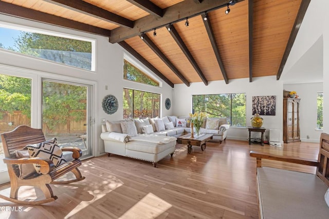2100 Valley Meadow Dr, Oak View, CA 93022 - living area featuring rail lighting, a wooden ceiling with exposed beams, light wood finished floors, plenty of natural light, and high vaulted ceiling
