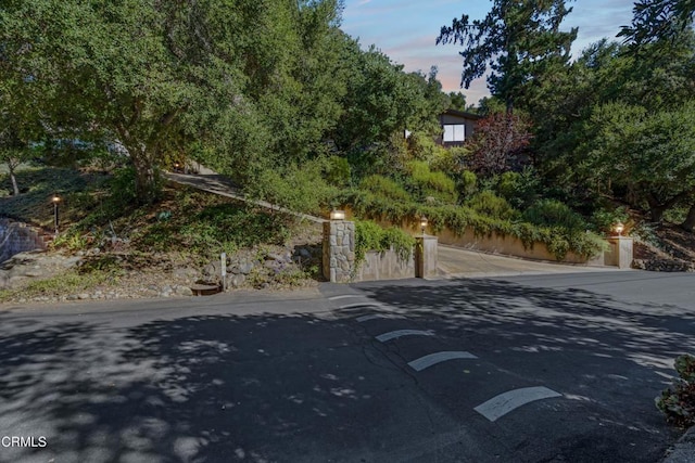 2100 Valley Meadow Dr, Oak View, CA 93022 - view of street