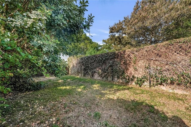 13624 Vose St, Valley Glen, CA 91405 - view of grassy yard