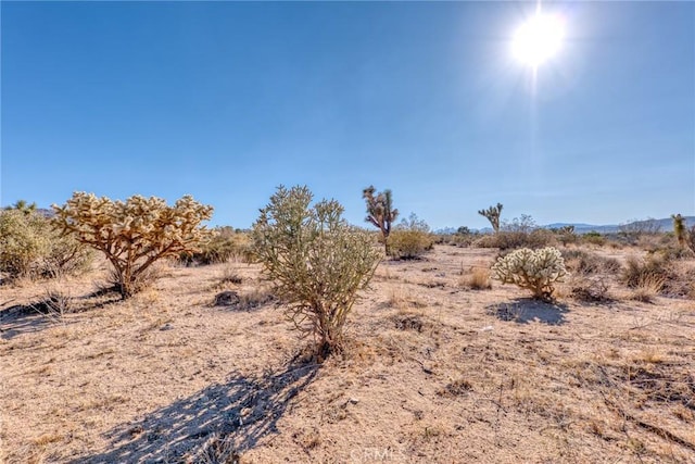 107 Juniper Rd, Joshua Tree, CA 92252