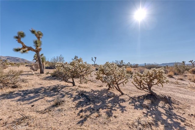 107 Juniper Rd, Joshua Tree, CA 92252