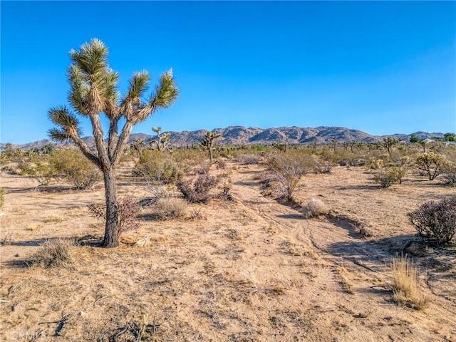 107 Juniper Rd, Joshua Tree, CA 92252