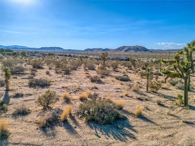107 Juniper Rd, Joshua Tree, CA 92252