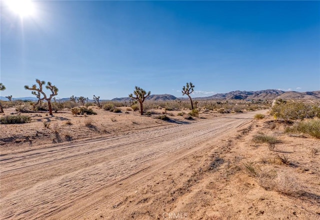 107 Juniper Rd, Joshua Tree, CA 92252