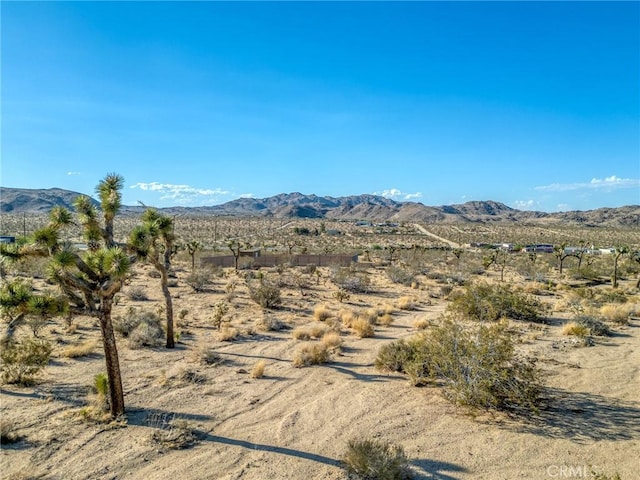 107 Juniper Rd, Joshua Tree, CA 92252
